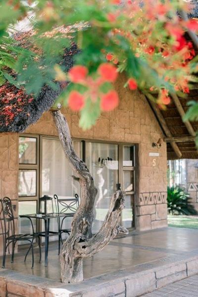 Tshukudiba Game Lodge Tom Burke Zewnętrze zdjęcie